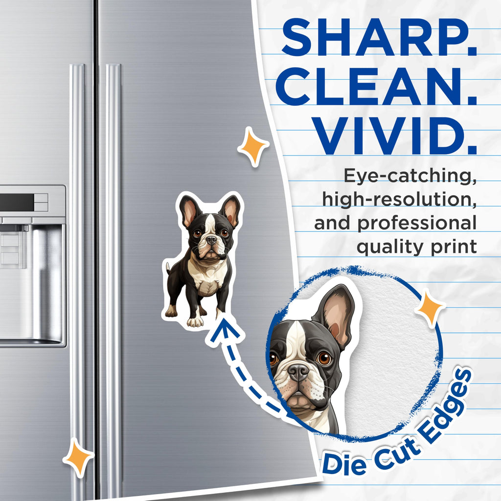 (2 Pack) Boston Terrier Magnets - Cute Dog Lover Magnets - Animal Art Fridge Magnets - Pet Owner Accessory - 5 Inches On Longest Side - Thick Durable Magnet - Made in USA - MAG26996