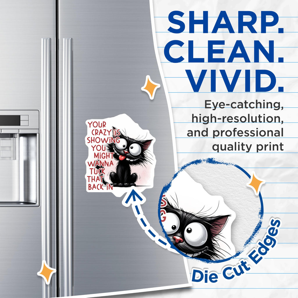 (2 Pack) Crazy Cat Magnets - Funny Quote Magnet - Quirky Refrigerator Magnet - 5" On Longest Side - Premium Magnet - for Cars, Refrigerators, Toolboxes, Lockers - Made in USA - MAG15320