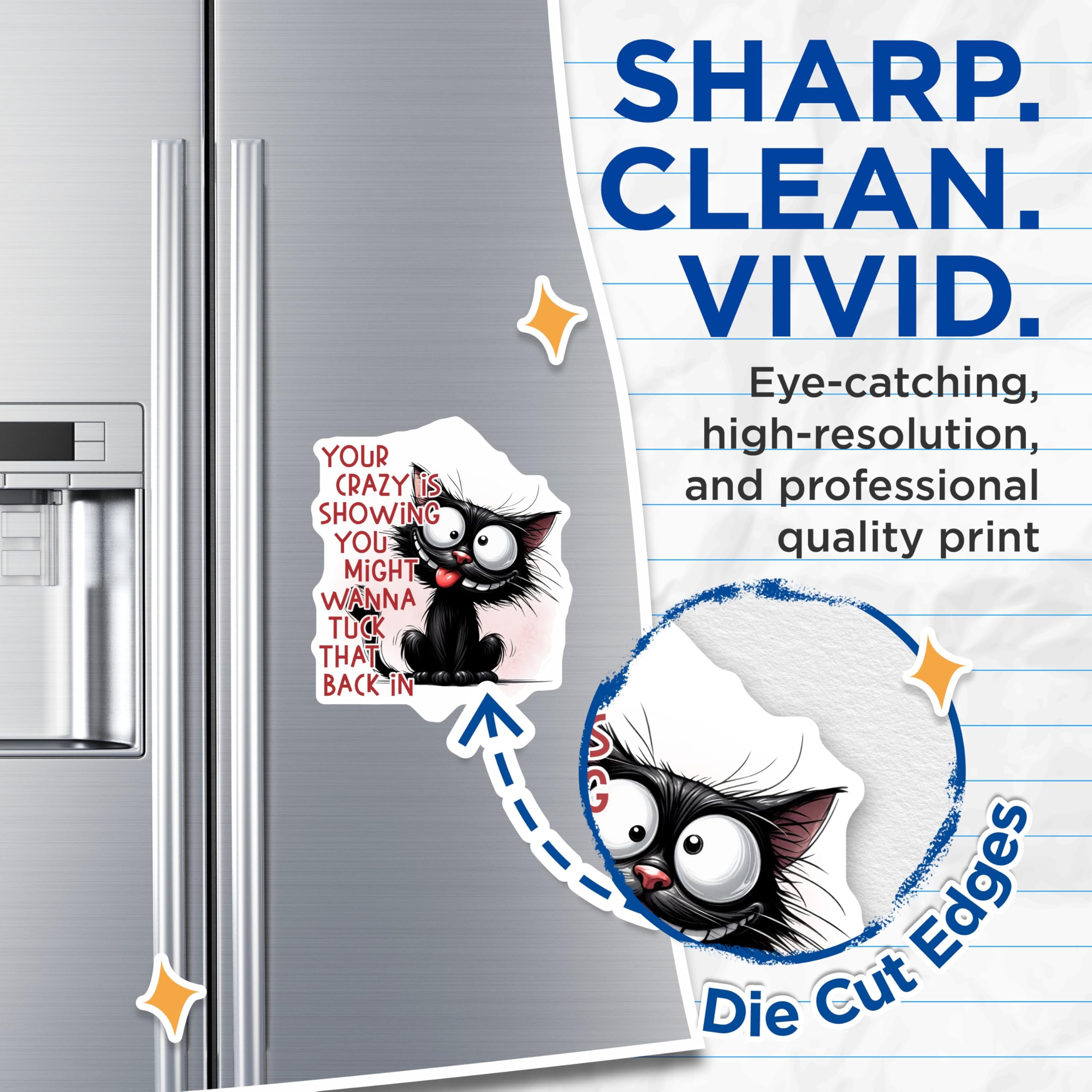 (2 Pack) Crazy Cat Magnets - Funny Quote Magnet - Quirky Refrigerator Magnet - 5" On Longest Side - Premium Magnet - for Cars, Refrigerators, Toolboxes, Lockers - Made in USA - MAG15320