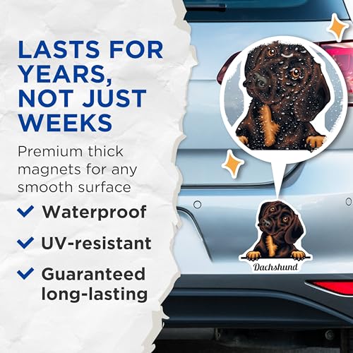 (2 Pack) Dachshund Dog Magnets - Cute Dachshund - Dog Lover Fridge Magnet - 5" On Longest Side - for Cars, Fridges, Toolboxes - Made in USA - MAG4217
