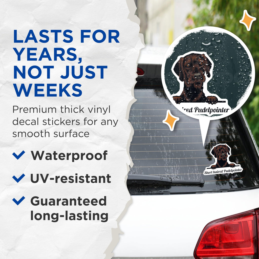 (2 Pack) Short Haired Pudelpointer Stickers - Cute Dog Decal - Animal Lover Stickers - 5" On Longest Side - Sticks to Smooth Flat Surfaces - Made in USA - BMCS4228