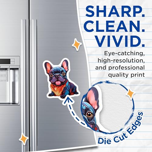 (2 Pack) French Bulldog Magnets - Cute Dog Lovers - French Bulldog Accessories - 5" On Longest Side - for Cars, Fridges, Toolboxes - Made in USA - MAG3939