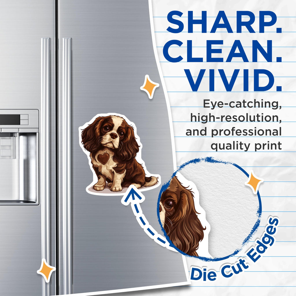 (2 Pack) Cavalier Spaniel Magnets - Dog Breed Art - Cute Puppy Fridge Magnets - 5" On Longest Side - Premium Magnet - for Cars, Refrigerators, Toolboxes, Lockers - Made in USA - MAG16998