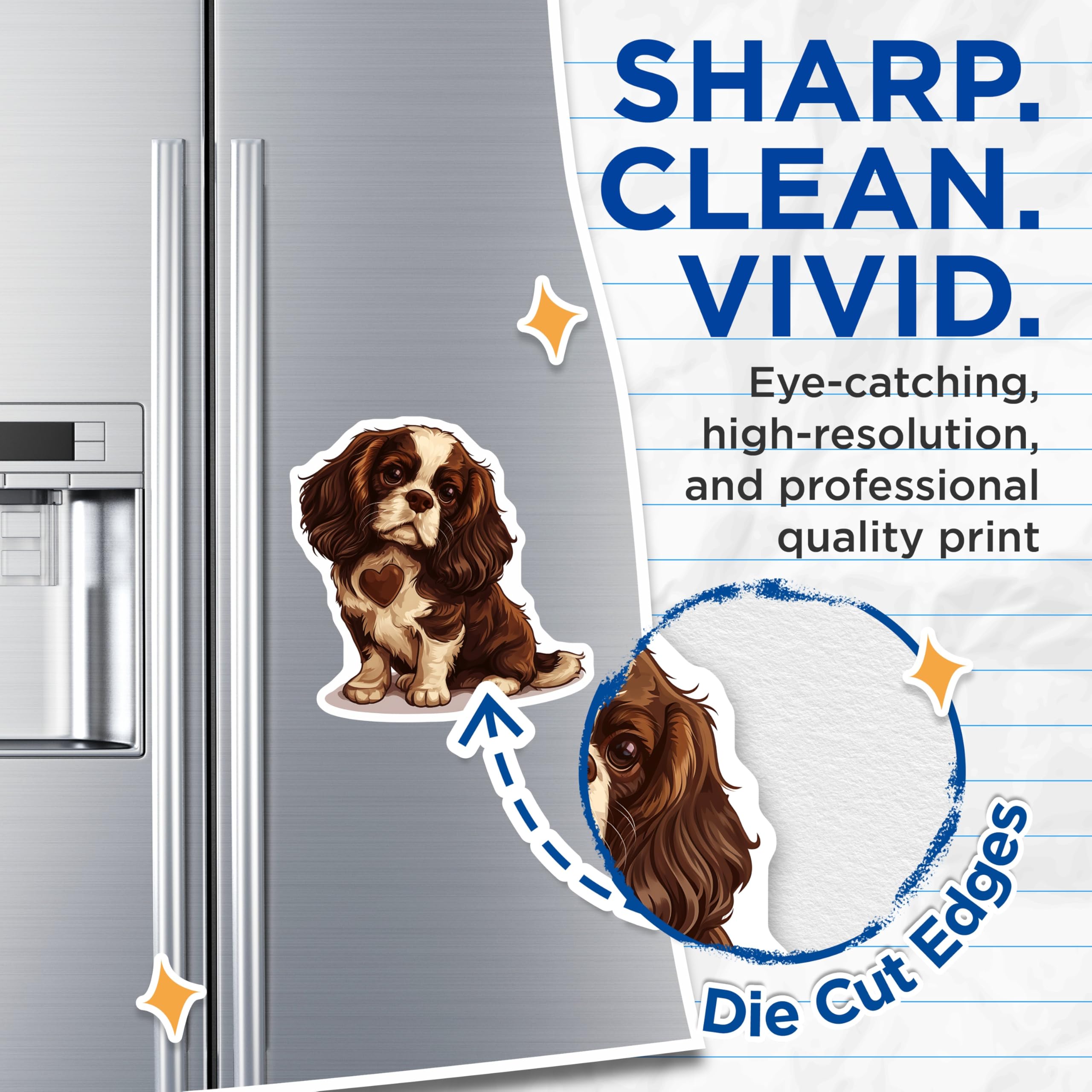 (2 Pack) Cavalier Spaniel Magnets - Dog Breed Art - Cute Puppy Fridge Magnets - 5" On Longest Side - Premium Magnet - for Cars, Refrigerators, Toolboxes, Lockers - Made in USA - MAG16998