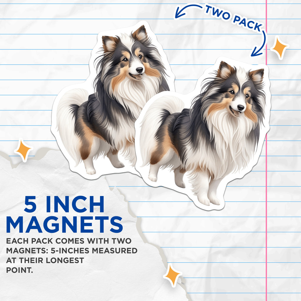 (2 Pack) Shetland Sheepdog Magnets - Sheltie Dog Owner Decor - Pet Lover Fridge Accessory - 5 Inches On Longest Side - Thick Durable Magnet - Made in USA - MAG38962
