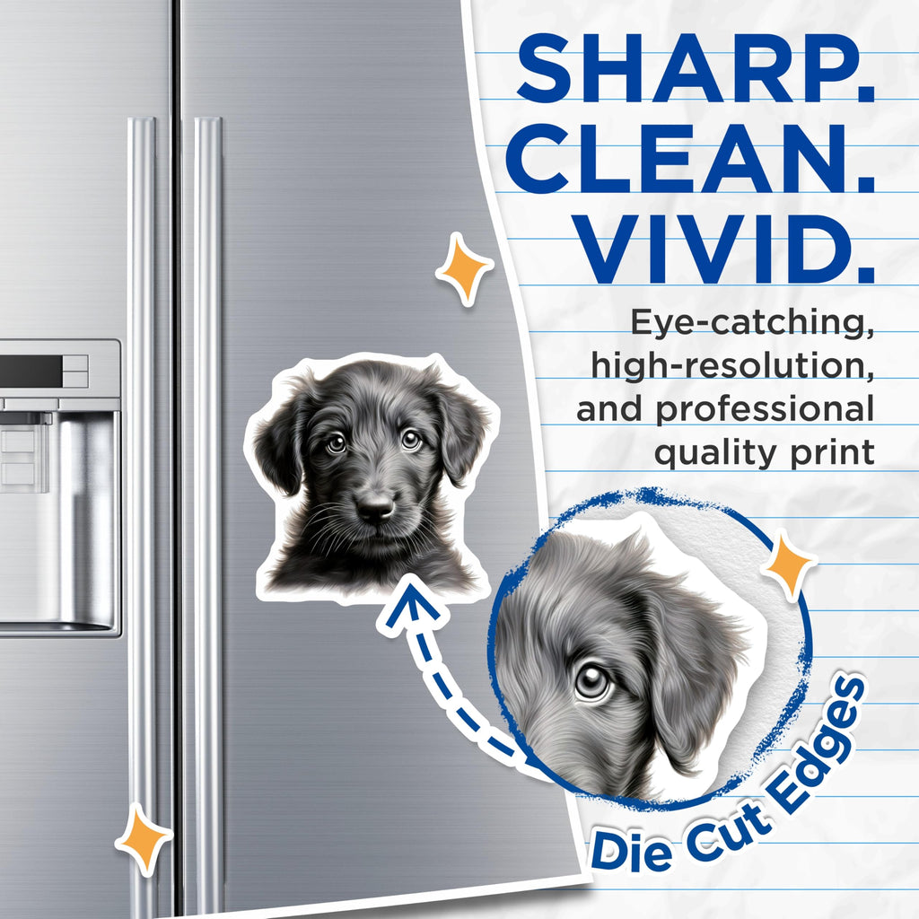 (2 Pack) Fluffy Puppy Magnets - Dog Lover Kitchen Decor - Pet Parent Fridge Accent - 5 Inches On Longest Side - Thick Durable Magnet - Made in USA - MAG30539