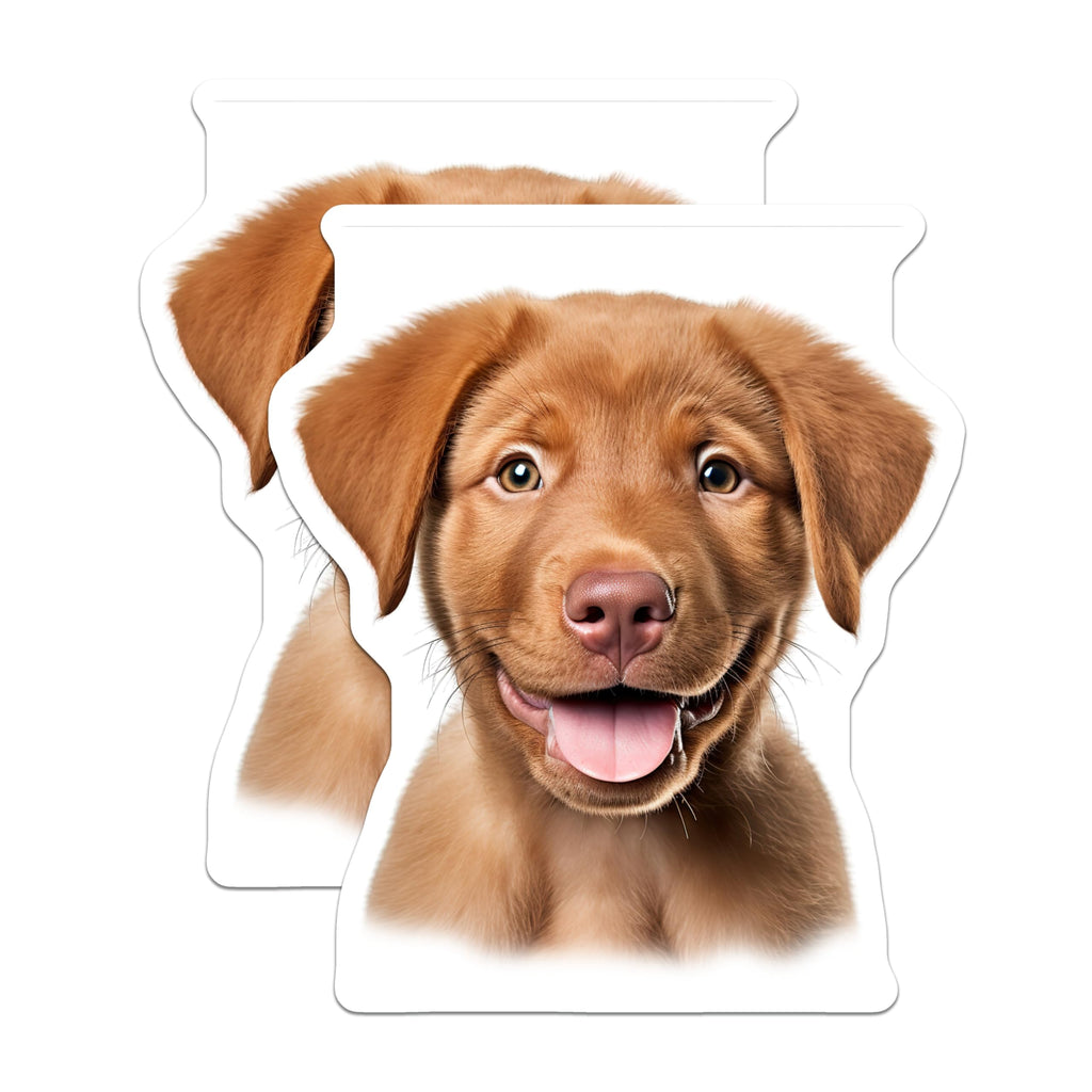 (2 Pack) Cute Puppy Magnets - Happy Dog Lover Decor - Labrador Retriever Pet Owner Display - 5 Inches On Longest Side - Thick Durable Magnet - Made in USA - MAG29806