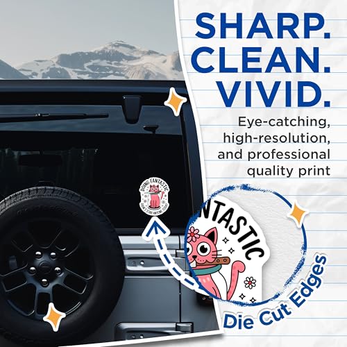 (2 Pack) Doing Fantastic Stickers - Cat Meme Stickers - Funny Motivational Stickers - 5" On Longest Side - Sticks to Smooth Flat Surfaces - Made in USA - BMCS4560