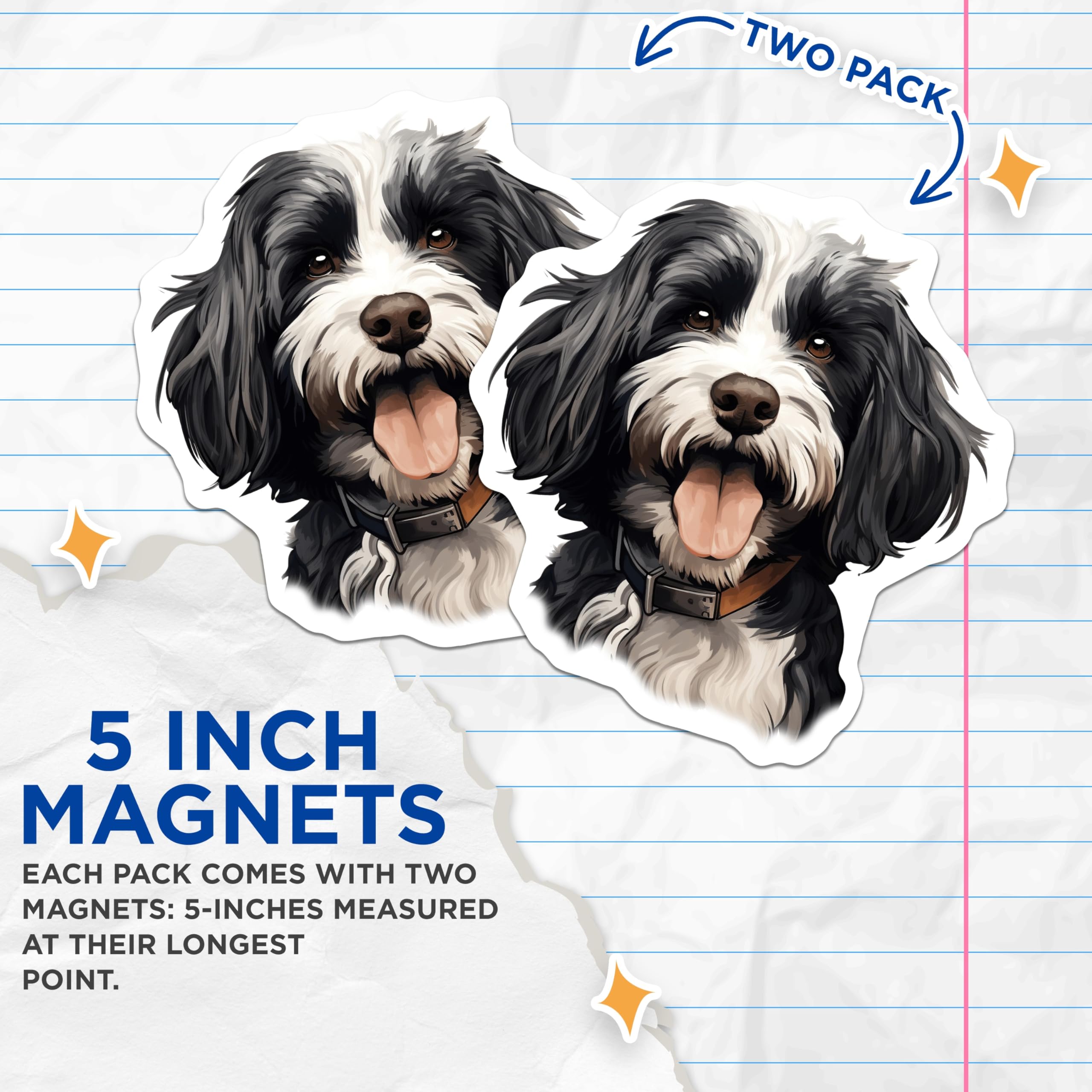 (2 Pack) Havanese Dog Magnets - Cute Puppy Illustration - Pet Owner Refrigerator Decor Dog Mom Dad - 5 Inches On Longest Side - Thick Durable Magnet - Made in USA - MAG27455