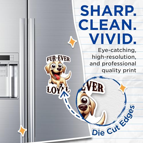 (2 Packs) Fur-Ever Loyal Golden Lab Magnets - Lab Dog Breed Magnets - 5 Inches On Longest Side - Premium Magnet - for Fridges, Toolboxes, Cars - Made in USA - MAG2412