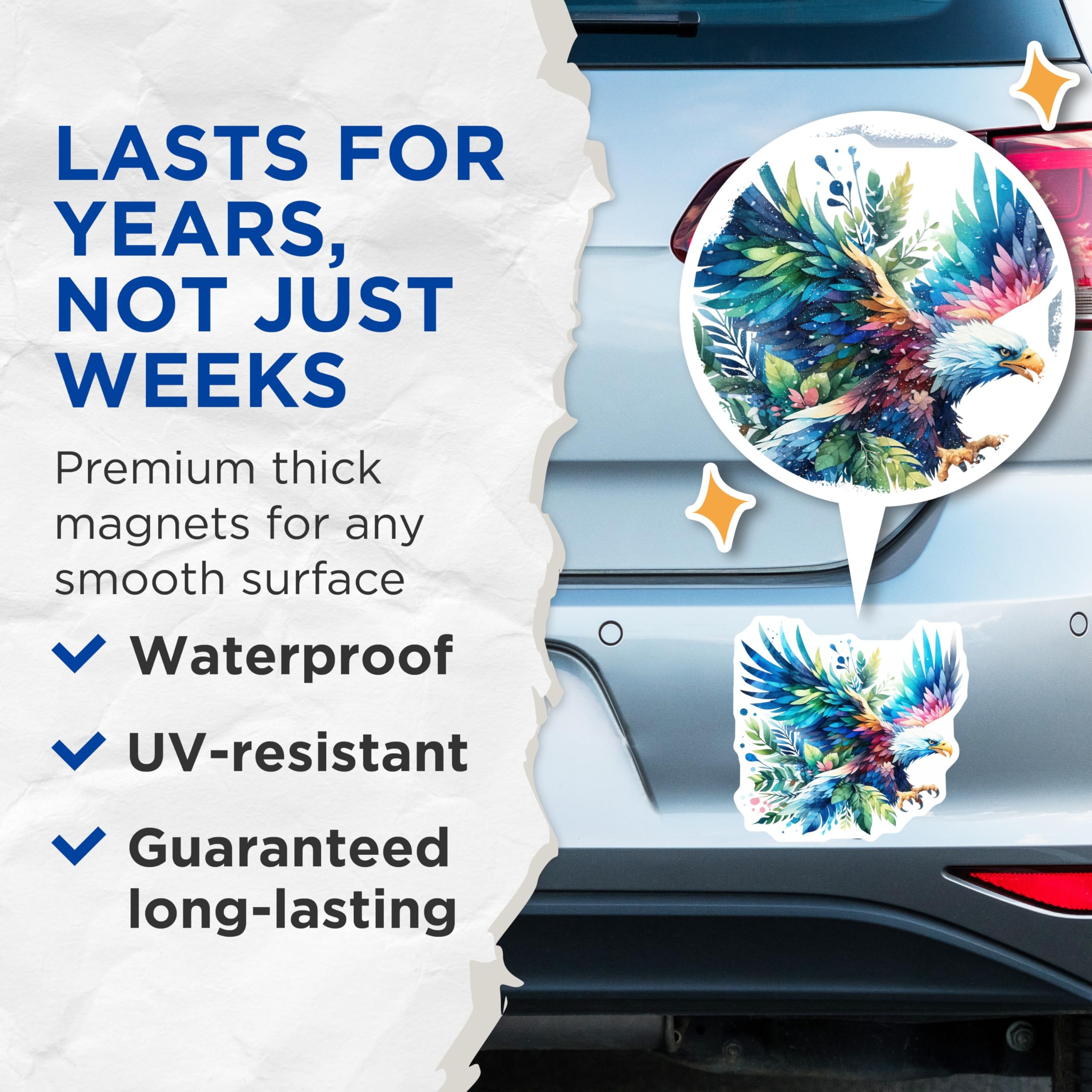 (2 Pack) Watercolor Eagle Magnets - Vibrant Botanical Bird Art - Majestic Wildlife Decor - 5 Inches On Longest Side - Thick Durable Magnet - Made in USA - MAG20510