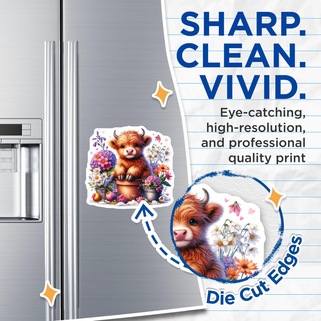 (2 Pack) Highland Cow Magnets - Cute Calf Magnets - Floral Decor Magnets - 5" On Longest Side - Premium Magnet - for Cars, Refrigerators, Toolboxes, Lockers - Made in USA - MAG14048