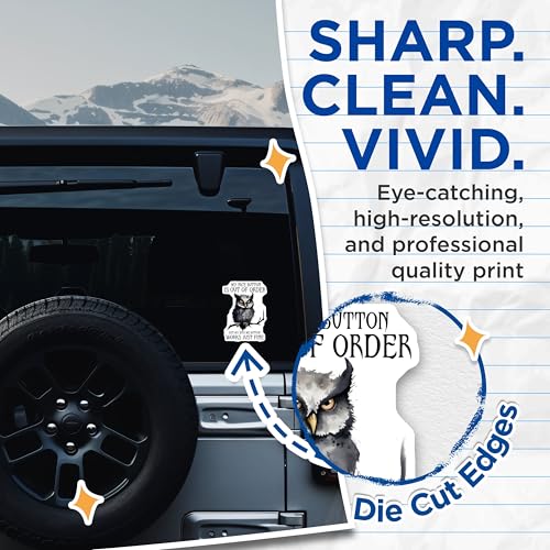 (2 Pack) My Nice Button is Out of Order Stickers - Funny Owl - Sarcastic Quote - 5" On Longest Side - Sticks to Smooth Flat Surfaces - Made in USA - BMCS7729