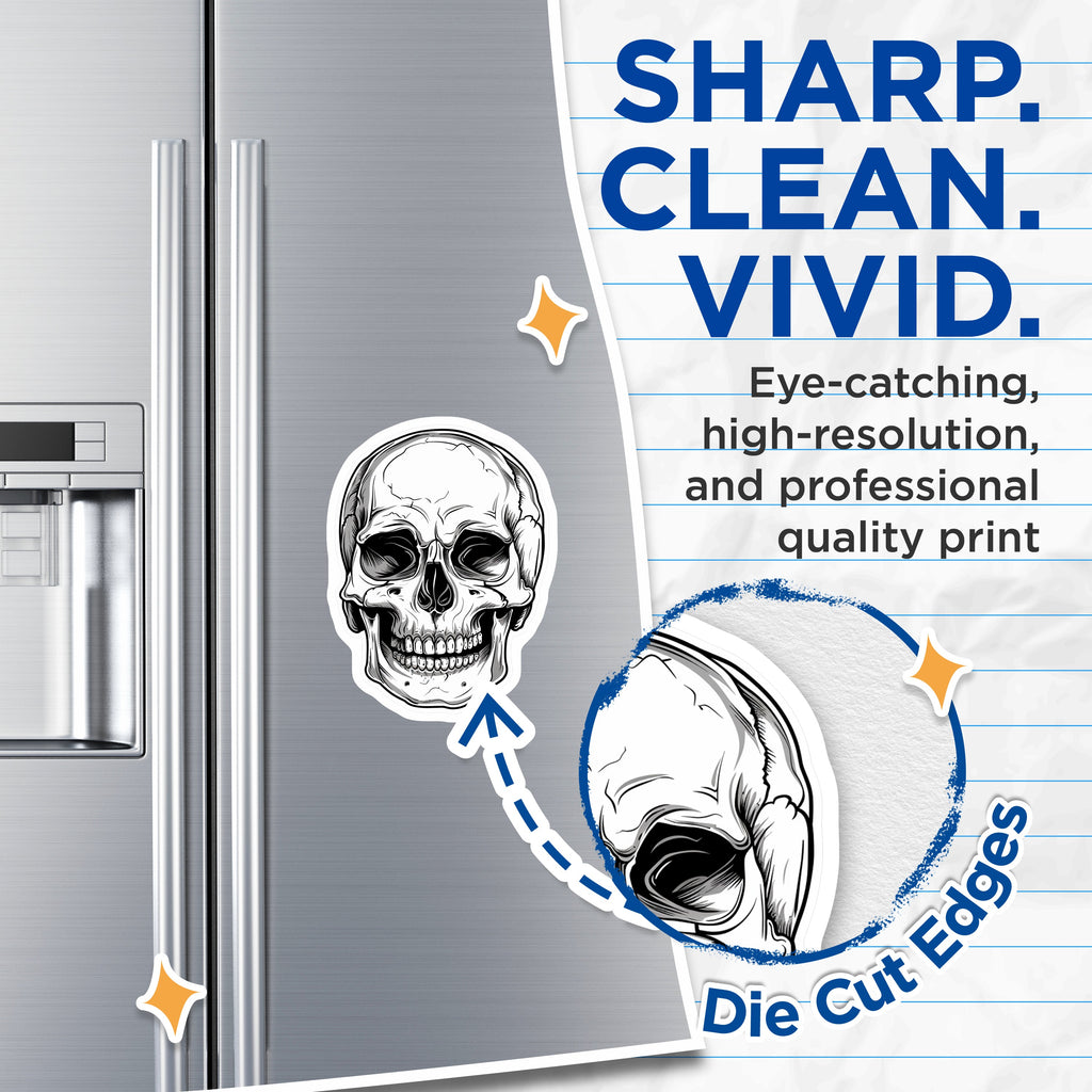 (2 Pack) Detailed Skull Magnets - Goth Decor - Biker Fridge Accents - Halloween Art Display - Anatomical Bone Illustration - 5" - Durable Magnet - Made in USA - MAG38174