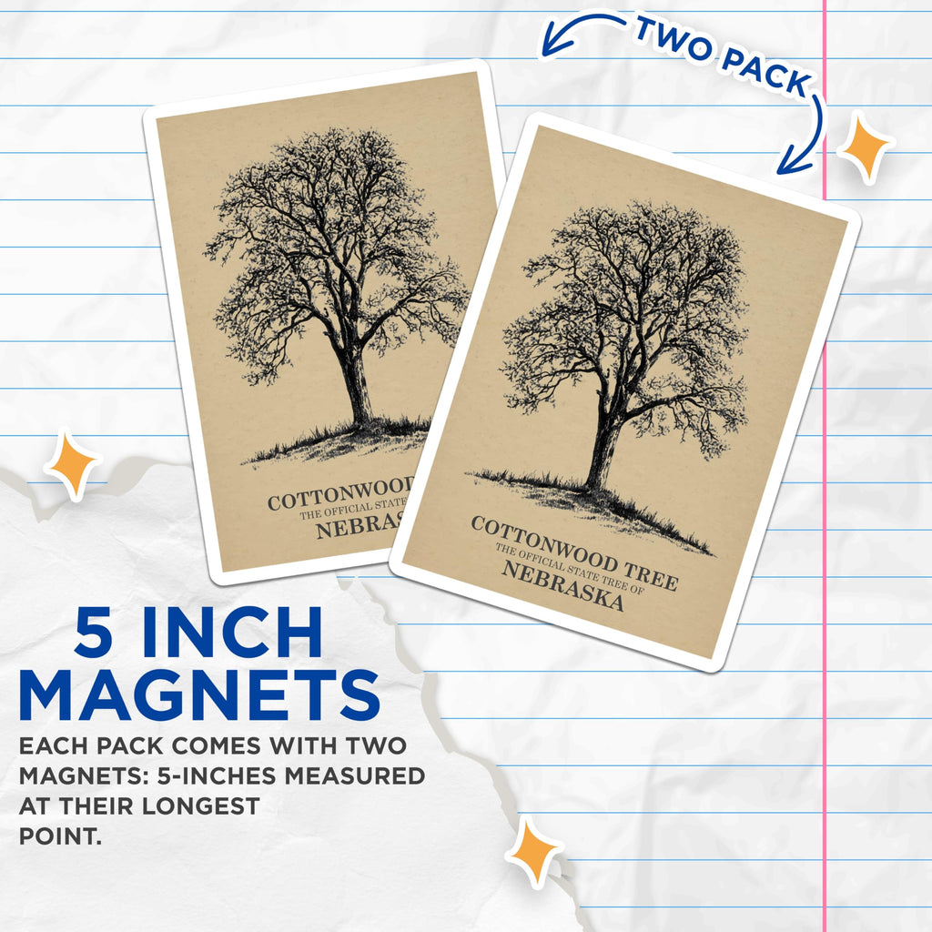 (2 Pack) Cottonwood Tree Magnets - Nebraska State Tree - Botanical Art Decor - 5 Inches On Longest Side - Thick Durable Magnet - Made in USA - MAG19388