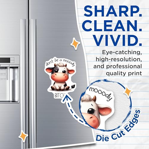 (2 Pack) Funny Cow Magnets Magnets - Don't Be Moody Decor - 5" On Longest Side - Made in USA - Sticks to Refrigerators & Metal Surfaces - MAG8670