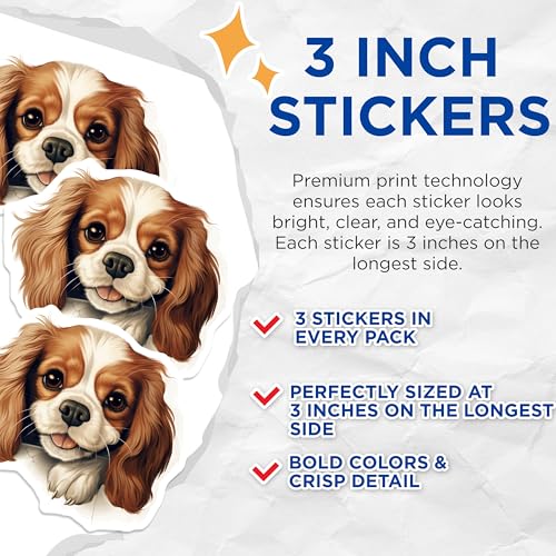 (3 Pack) Cavalier Spaniel Decals - Cute Dog Laptop Stickers - Pet Lover Decor - 3 Inches On Longest Side - Easy Peel & Apply - Made in USA - 3MCS8689
