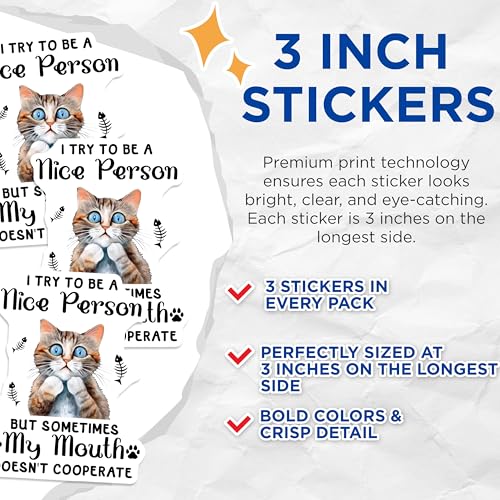 (3 Pack) Funny Cat Decals - Sarcastic Cat Meme - Laptop Decals - 3 Inches On Longest Side - Easy Peel & Apply - Made in USA - 3MCS6487