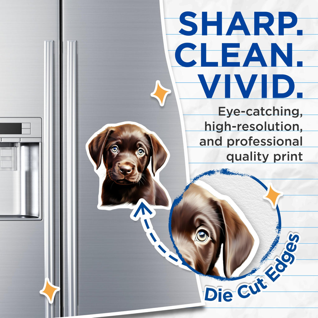 (2 Pack) Chocolate Lab Puppy Magnets - Cute Labrador Retriever - Pet Owner Fridge Decor - 5 Inches On Longest Side - Thick Durable Magnet - Made in USA - MAG27556