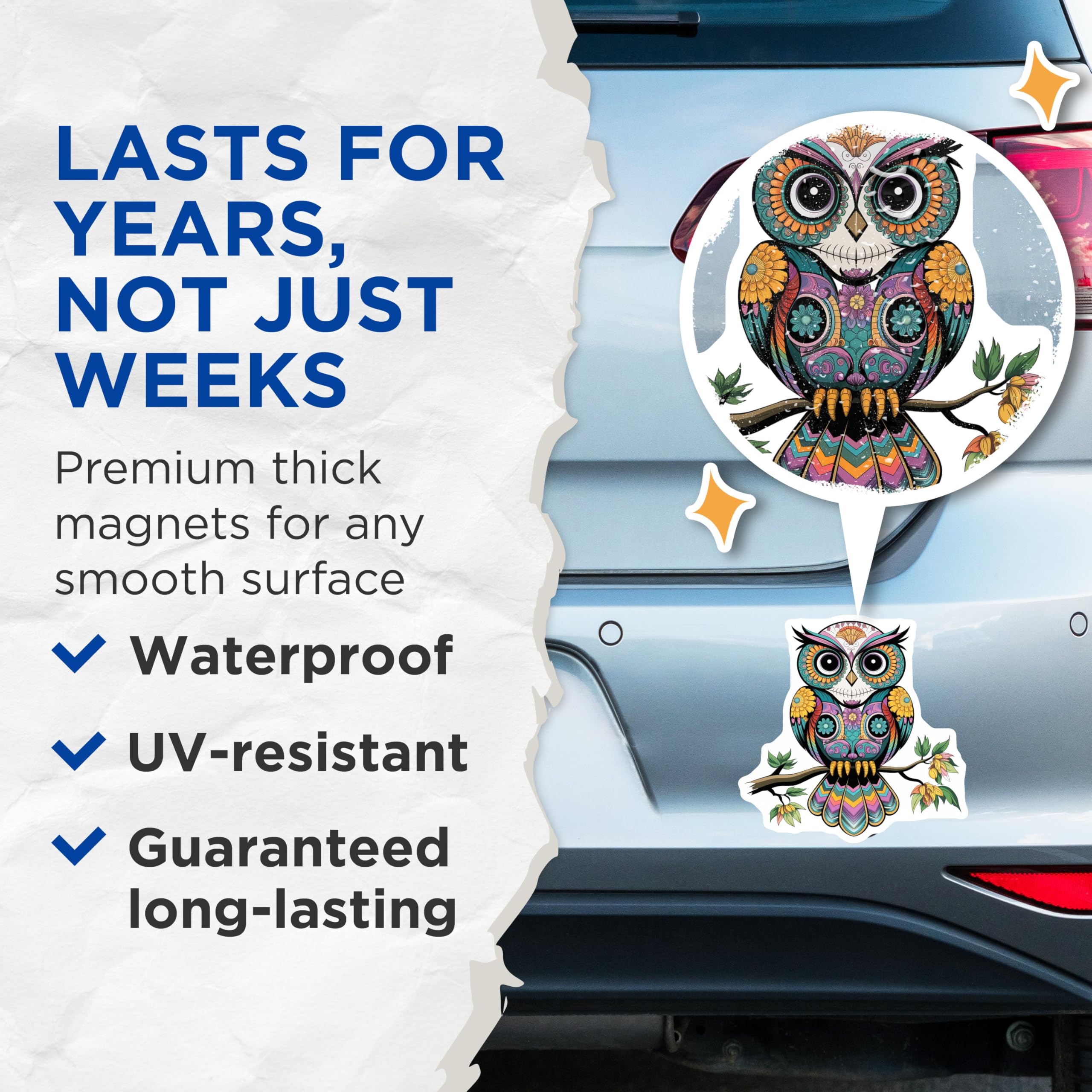 (2 Pack) Colorful Owl Decor Magnet - 5" On Longest Side - Sticks to Smooth Flat Surfaces - Made in USA - MAG9465