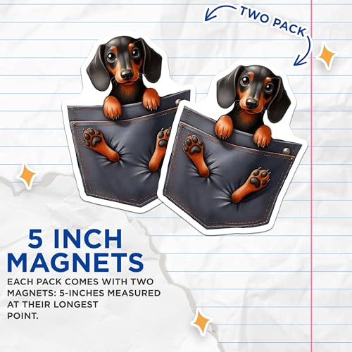 (2 Pack) Dog Magnets - Cute Dachshund in Pocket Magnet - Fun Refrigerator Magnet for Dog Lovers - 5" On Longest Side - for Cars, Fridges, Toolboxes - Made in USA - MAG3971
