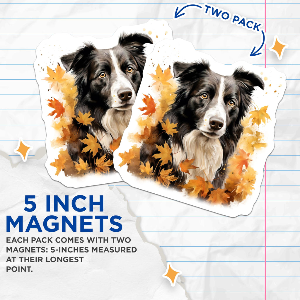 (2 Pack) Border Collie Magnets - Autumn Dog Refrigerator Decor - Fall Maple Leaves Pet Art Magnet - 5 Inches On Longest Side - Thick Durable Magnet - Made in USA - MAG24937