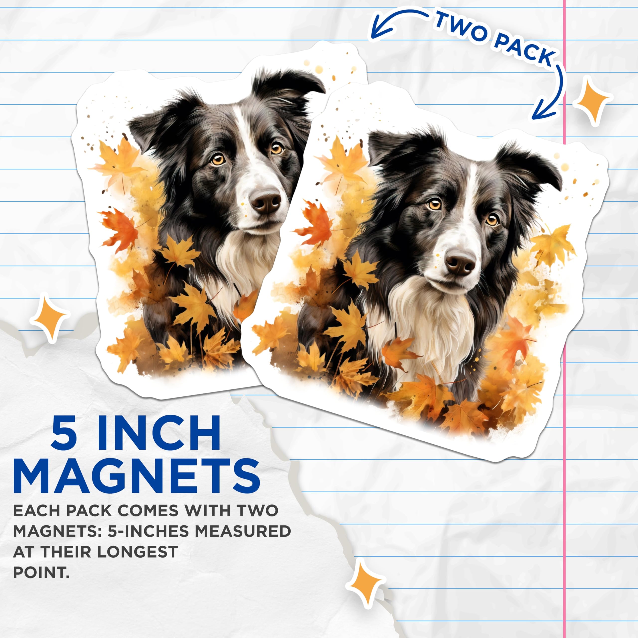 (2 Pack) Border Collie Magnets - Autumn Dog Refrigerator Decor - Fall Maple Leaves Pet Art Magnet - 5 Inches On Longest Side - Thick Durable Magnet - Made in USA - MAG24937