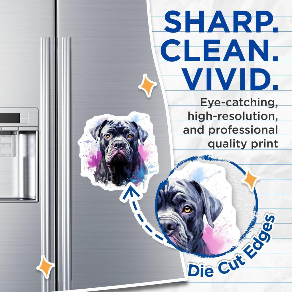 (2 Pack) Cane Corso Magnets - Artistic Mastiff Dog Art - Dog Lover Refrigerator Decor - 5 Inches On Longest Side - Thick Durable Magnet - Made in USA - MAG30494