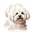 (2 Pack) Maltese Dog Magnets - Cute White Fluffy Dog - Pet Lover Fridge Locker Decoration - 5 Inches On Longest Side - Thick Durable Magnet - Made in USA - MAG29223