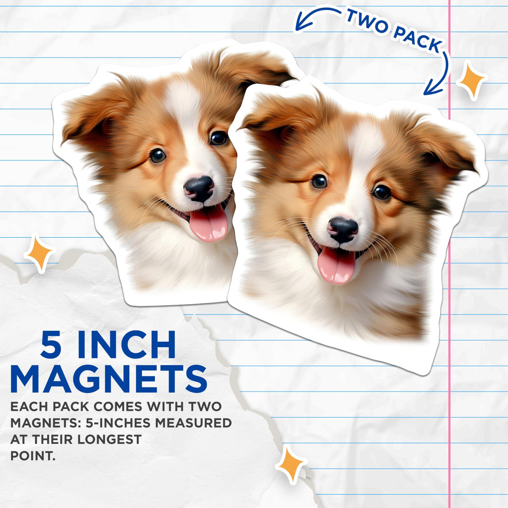 (2 Pack) Cute Puppy Magnets - Border Collie Sheltie - Dog Lover Accessory - 5 Inches On Longest Side - Thick Durable Magnet - Made in USA - MAG29837