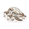 (2 Pack) Ocean Animal Decor Magnet - Beach Theme Accessories - 5" On Longest Side - Sticks to Smooth Flat Surfaces - Made in USA - MAG10097