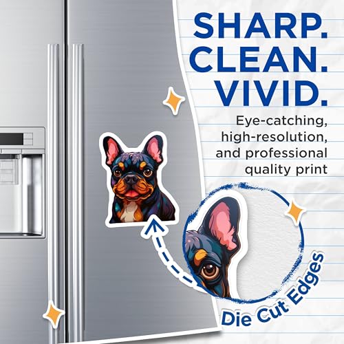 (2 Pack) French Bulldog Magnets - Dog Lover Gifts - Cute Frenchie - Animal Lover Magnet - 5" On Longest Side - for Cars, Fridges, Toolboxes - Made in USA - MAG3930