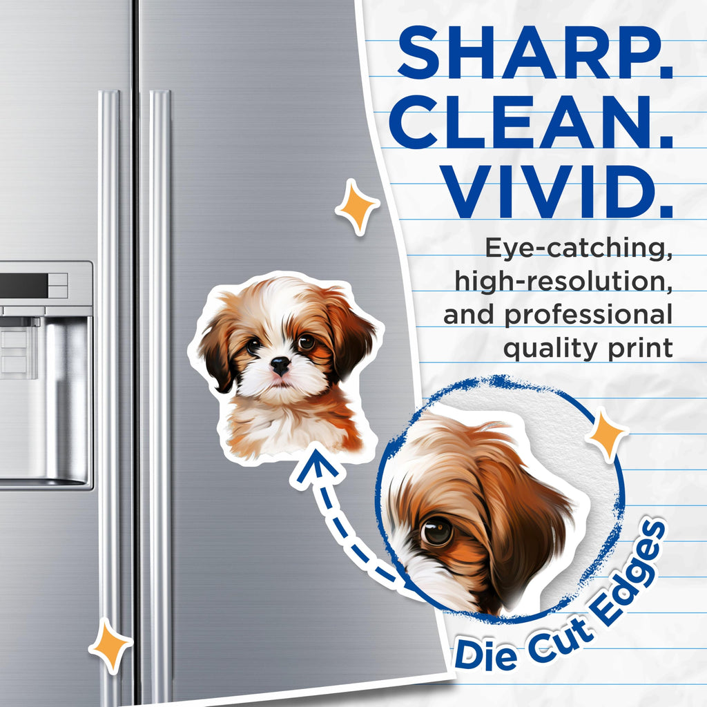 (2 Pack) Cute Puppy Magnets - Adorable Shih Tzu Dog - Refrigerator Locker Decor - 5 Inches On Longest Side - Thick Durable Magnet - Made in USA - MAG28946