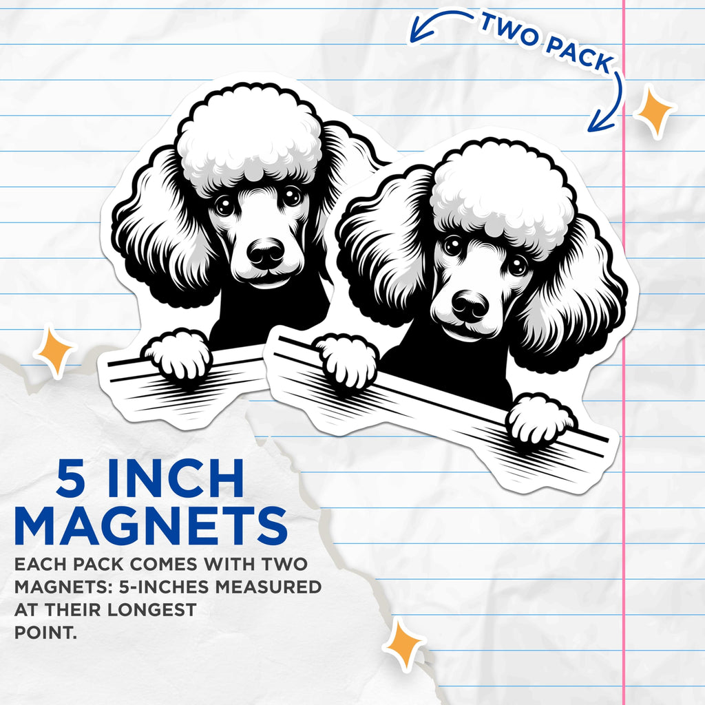 (2 Pack) Poodle Magnets - Cute Dog Magnets - Refrigerator Magnets - Pet Lover Decor - 5" On Longest Side - Premium Magnet - for Cars, Refrigerators, Toolboxes, Lockers - Made in USA - MAG15217