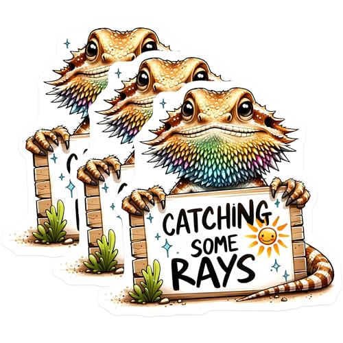 (3 Pack) Bearded Dragon Decals - Catching Some Rays - Cute Lizard Art - 3 Inches On Longest Side - Easy Peel & Apply - Made in USA - 3MCS2508