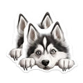 (2 Pack) Cute Husky Art for Fridge Magnet - 5" On Longest Side - Sticks to Smooth Flat Surfaces - Made in USA - MAG10279