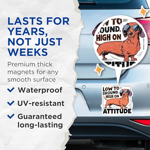 (2 Pack) Dachshund Dog Magnets Magnets - Cartoon Dog Illustration - 5" On Longest Side - Made in USA - Sticks to Refrigerators & Metal Surfaces - MAG8531