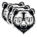 (3 Pack) Papa Bear Decals - Cool Bear Dad - Father's Day Decals - 3 Inches On Longest Side - Easy Peel & Apply - Made in USA - 3MCS2380