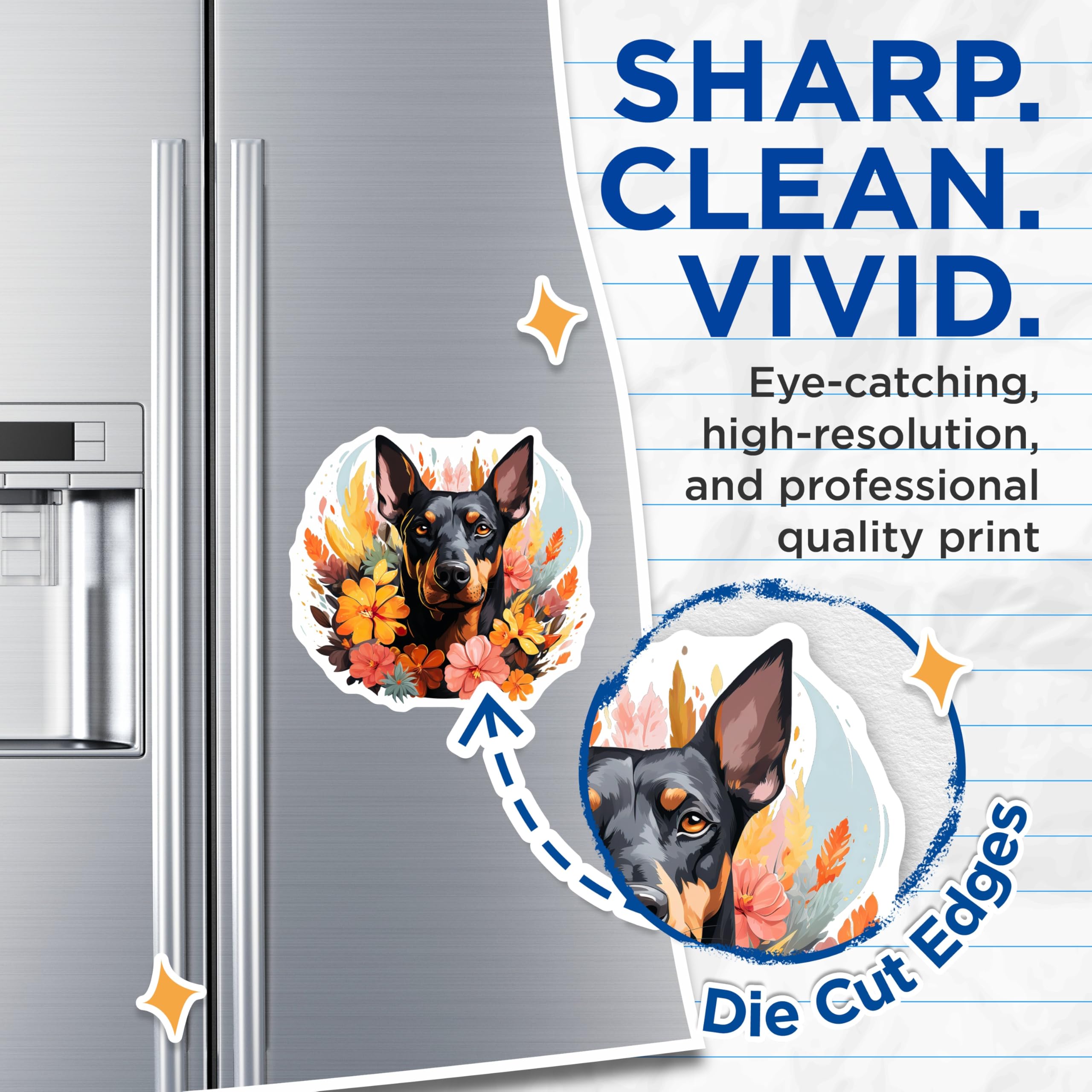 (2 Pack) Doberman Pinscher Magnets - Floral Dog Art - Pet Mom Decor - Animal Lover Accessory - 5 Inches On Longest Side - Thick Durable Magnet - Made in USA - MAG28180