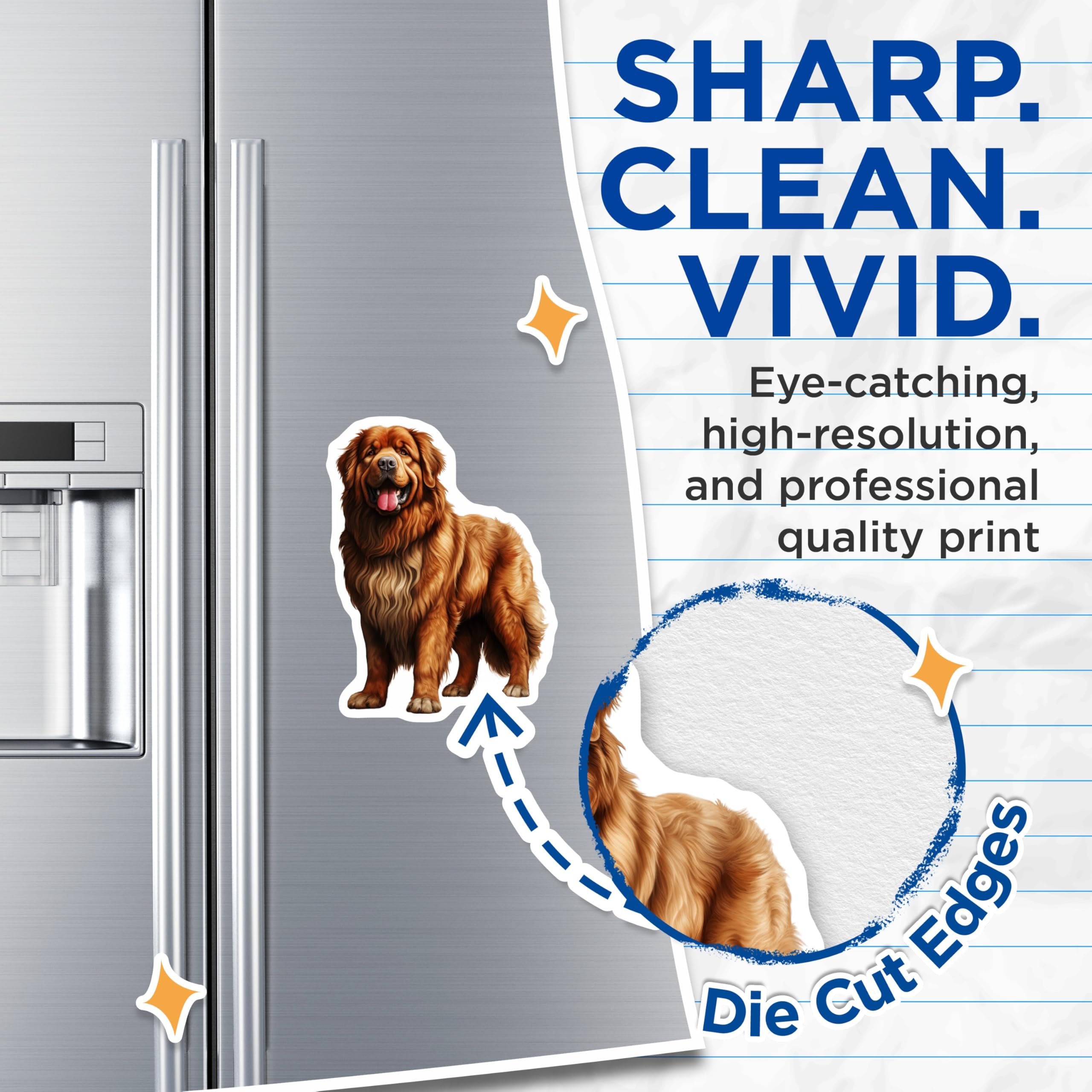(2 Pack) Tibetan Mastiff Magnets - Fluffy Dog Breed - Pet Lover Accents - Majestic Canine - 5 Inches On Longest Side - Thick Durable Magnet - Made in USA - MAG30476