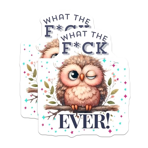 (2 Pack) Funny Owl Stickers - What The F*ck Ever - Cute Animal Stickers for Laptops Water Bottles - 5" On Longest Side - Sticks to Smooth Flat Surfaces - Made in USA - BMCS7165