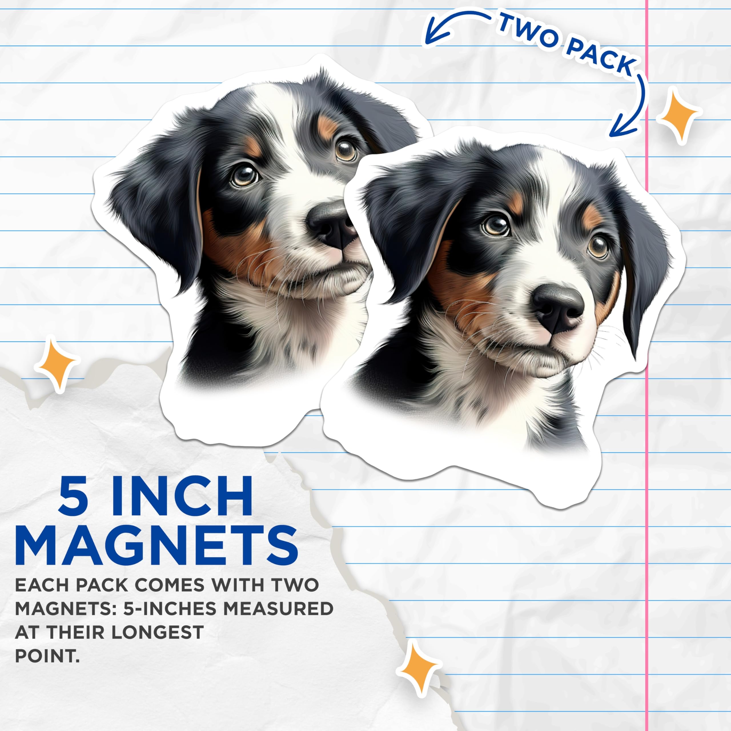 (2 Pack) Cute Puppy Face Magnets - Bernese Mountain Dog Art - Dog Mom Pet Lover Decor - 5 Inches On Longest Side - Thick Durable Magnet - Made in USA - MAG25259