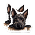 (2 Pack) Adorable Canine Decor Magnet - 5" On Longest Side - Sticks to Smooth Flat Surfaces - Made in USA - MAG10272