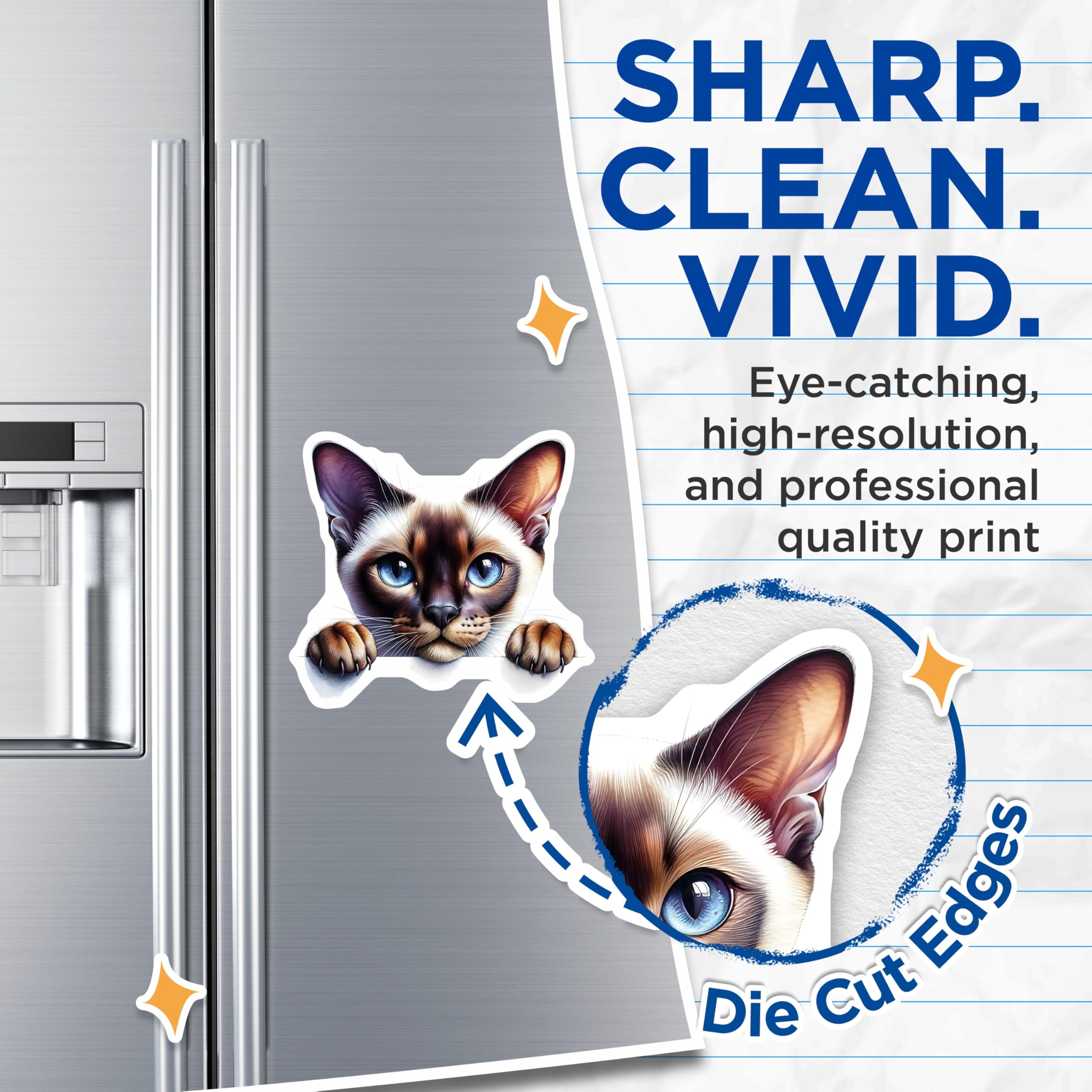 (2 Pack) Siamese Cat Magnets - Fridge Magnets - Cute Cat Decor - 5" On Longest Side - Premium Magnet - for Cars, Refrigerators, Toolboxes, Lockers - Made in USA - MAG15339