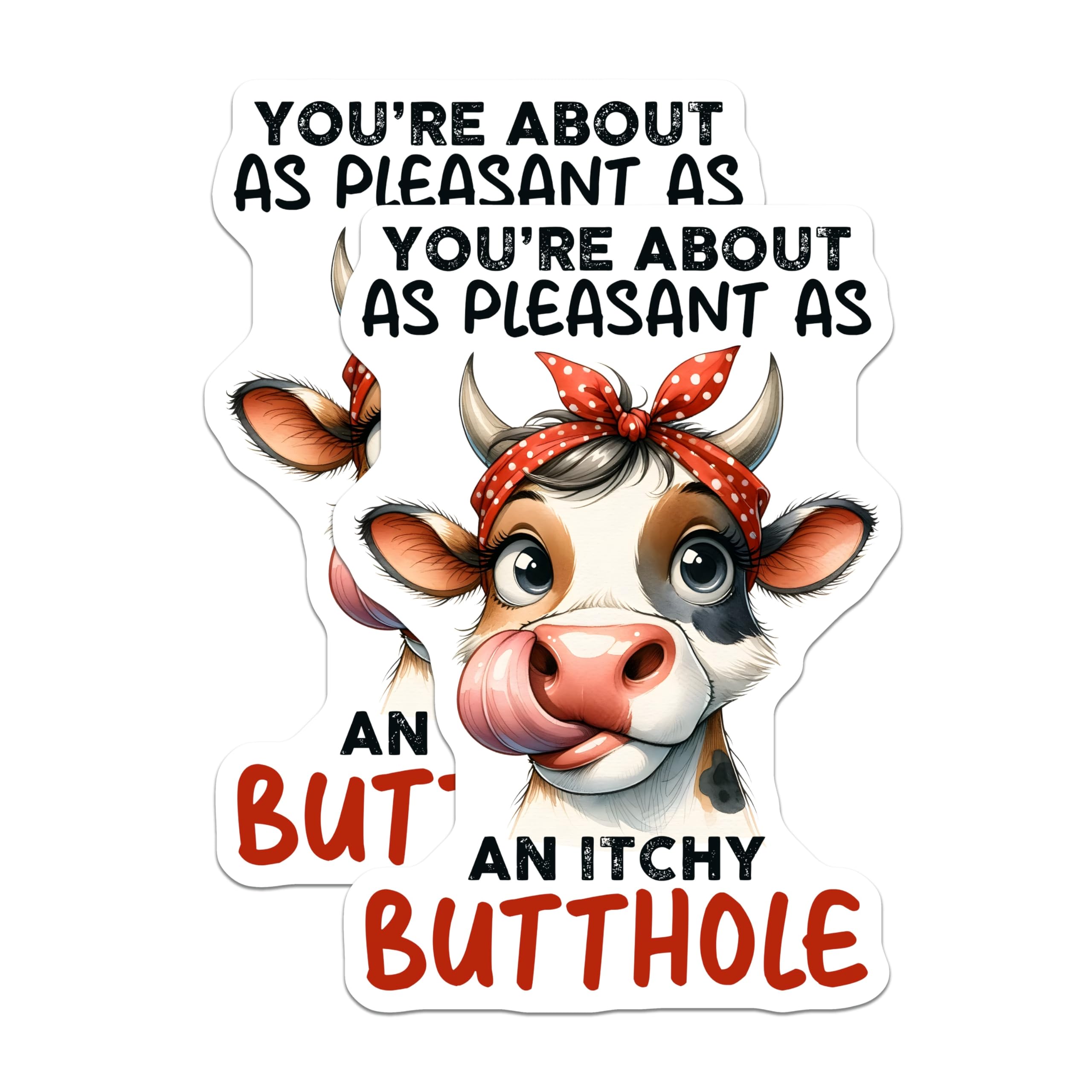 (2 Pack) Funny Cow Magnets - Sarcastic Quote Refrigerator Magnets - Itchy Butthole Humor - 5" On Longest Side - Premium Magnet - for Cars, Refrigerators, Toolboxes, Lockers - Made in USA - MAG16900
