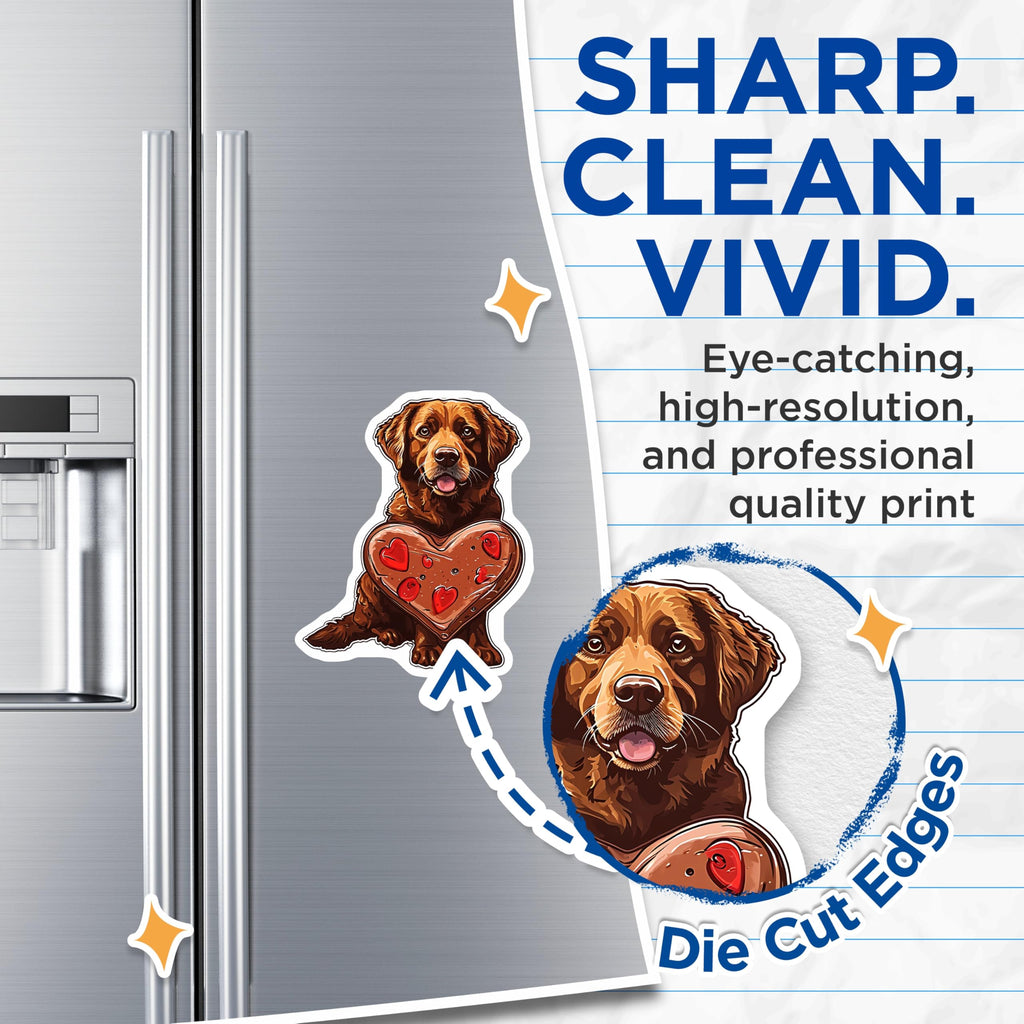 (2 Pack) Chocolate Dog Magnets - Retriever Magnet - Heart Magnets - 5" On Longest Side - Premium Magnet - for Cars, Refrigerators, Toolboxes, Lockers - Made in USA - MAG16604