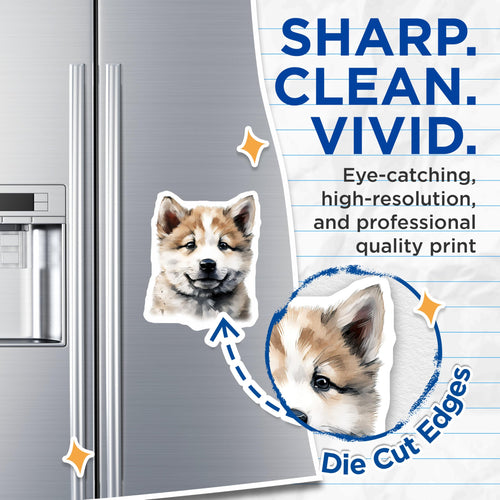 (2 Pack) Adorable Puppy Magnets - Watercolor Shiba Inu Akita Dog Decor - Pet Parent Fridge Art for Animal Lovers - 5 Inches On Longest Side - Thick Durable Magnet - Made in USA - MAG28634