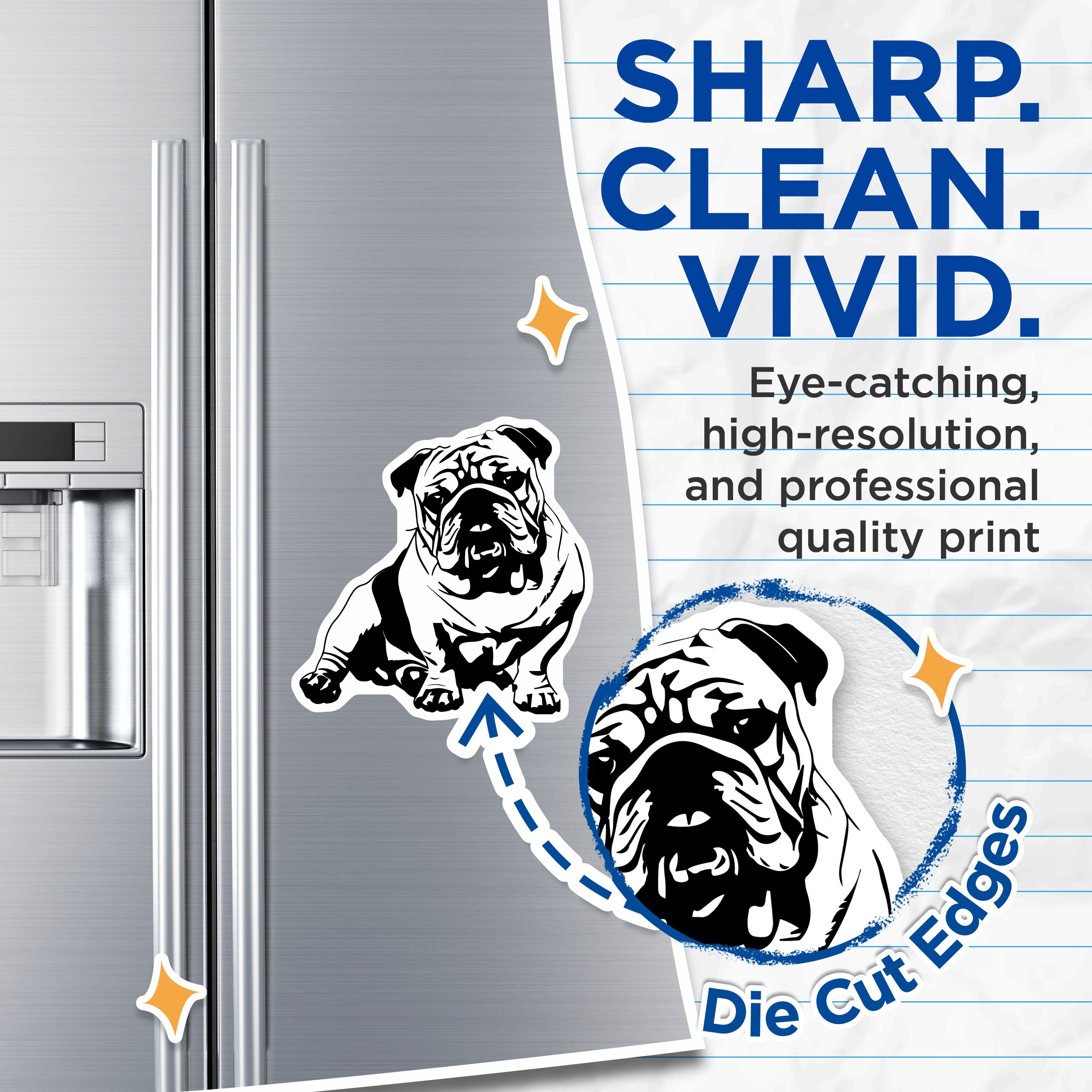 (2 Pack) Bulldog Magnets - English Bulldog Decor - Pet Lover Accessory - 5 Inches On Longest Side - Thick Durable Magnet - Made in USA - MAG37793