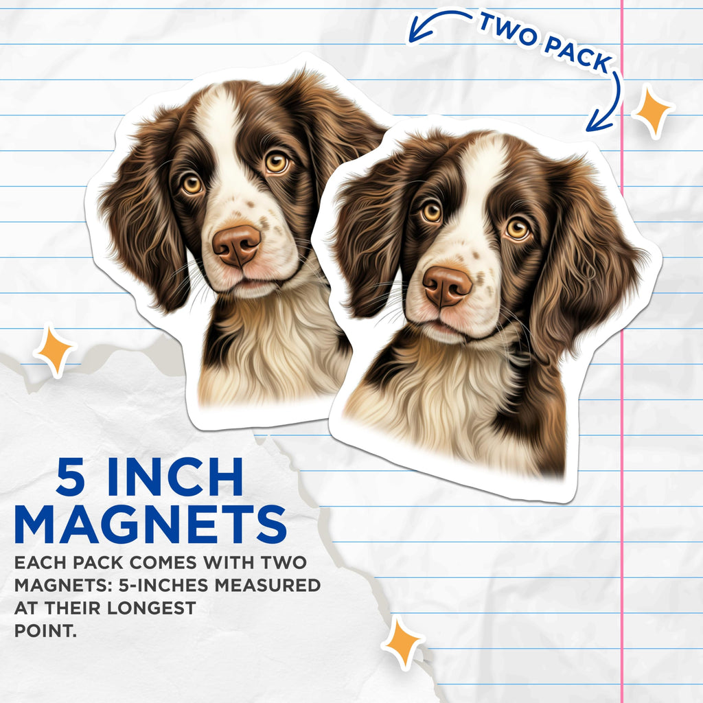 (2 Pack) Springer Spaniel Magnets - Realistic Dog Portrait - Pet Lover Kitchen Decor - 5 Inches On Longest Side - Thick Durable Magnet - Made in USA - MAG27614