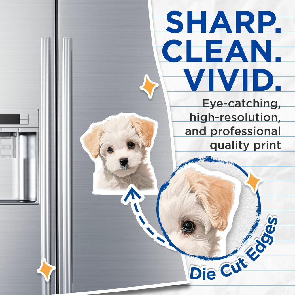 (2 Pack) Cute Puppy Magnets - Adorable Fluffy Dog Lover Refrigerator Decor - Pet Parent Kitchen Accessory - 5 Inches On Longest Side - Thick Durable Magnet - Made in USA - MAG29749